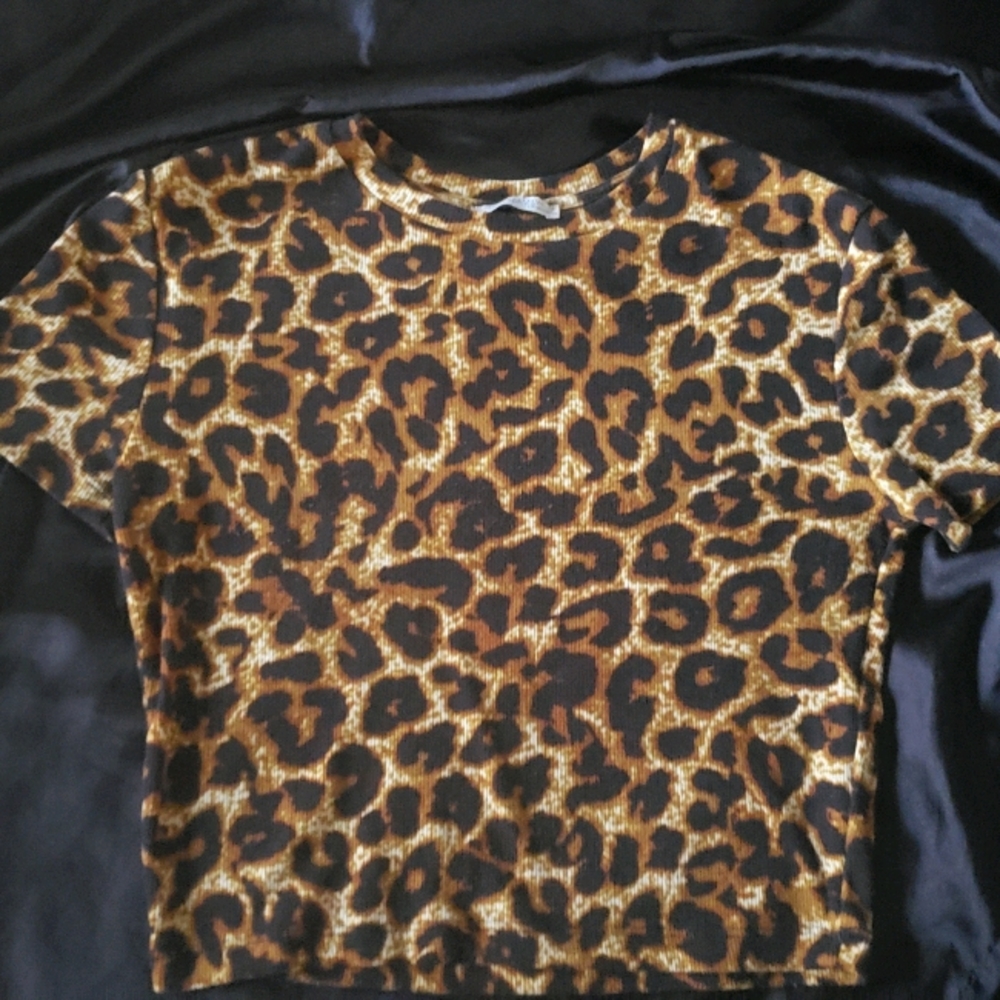SOLD🚫Leopard Zara crop top